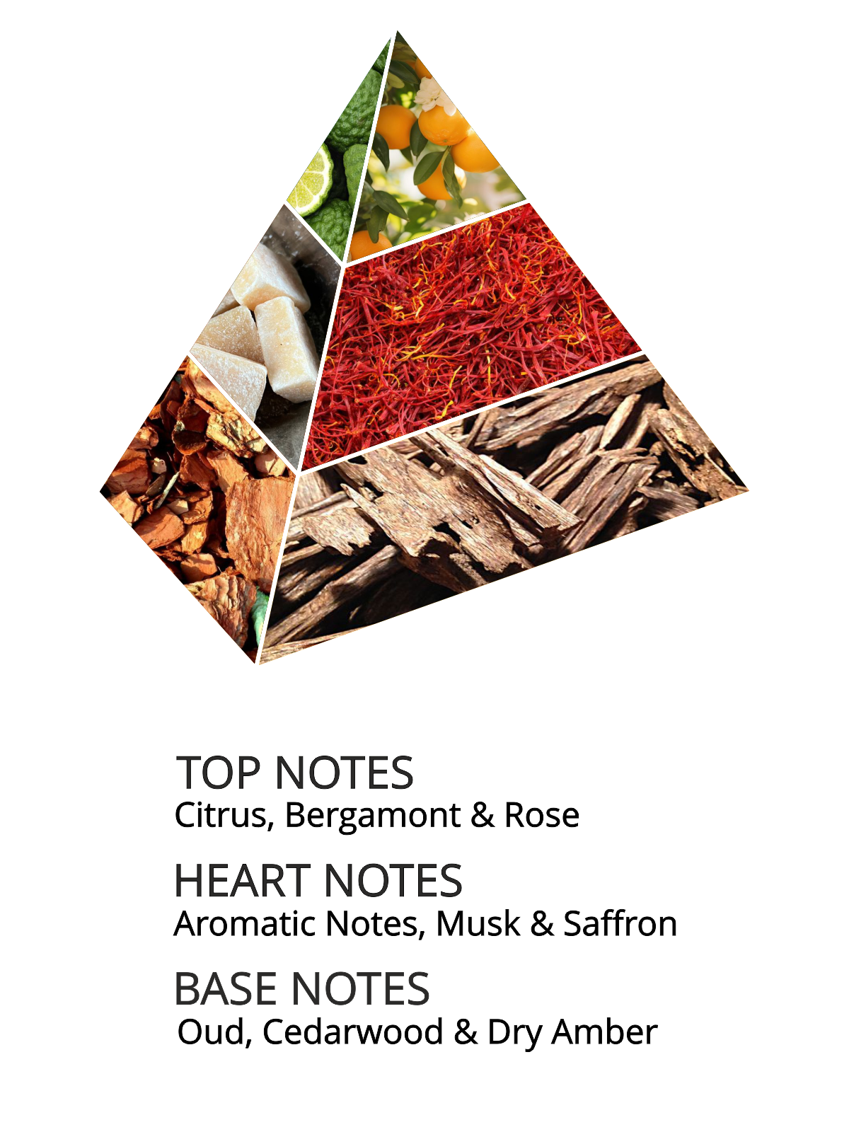 Stallion Classic Oud